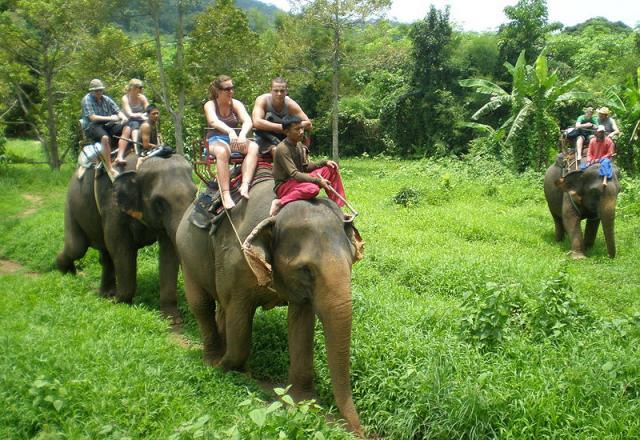 Прогулка на слонах (Elephant trekking)