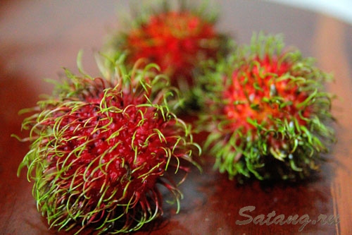 Удивительные тропические фрукты Таиланда!