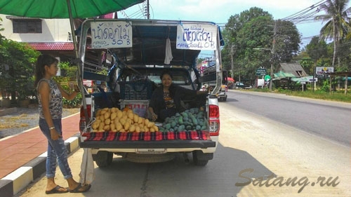 Самые дешевые и вкусные продукты продают сельчане с тайских деревень в кузовах машин