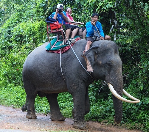 Слоны Ко Чанг - это не просто животные!