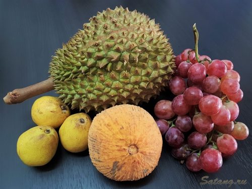 Дуриан Король фруктов Таиланд