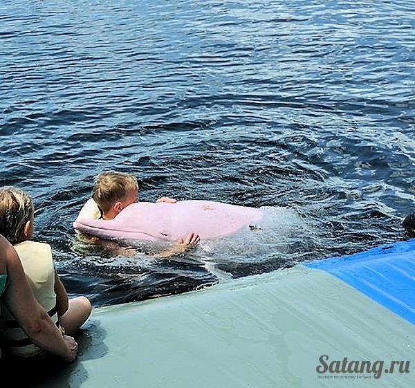 Дельфинарий Таиланд около острова Ко Чанг